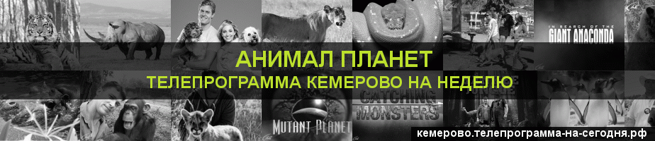 Телепрограмма на неделю канала Анимал Планет, Кемерово