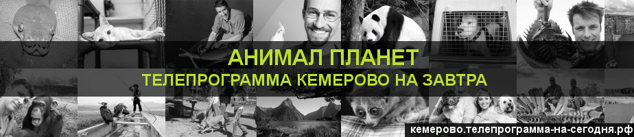 Телепрограмма на завтра канала Анимал Планет, Кемерово
