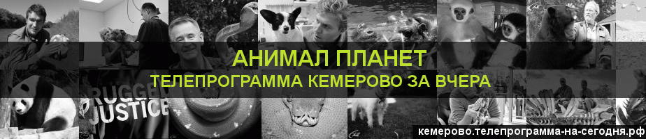 Телепрограмма за вчера канала Анимал Планет, Кемерово